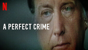 A Perfect Crime (2020)