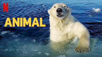 Animal (2022)