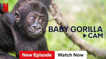 Baby Gorilla Cam (2023)