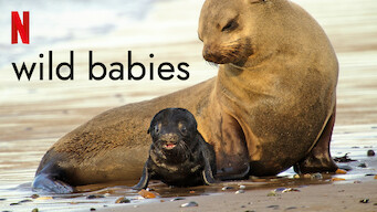 Wild Babies (2022)