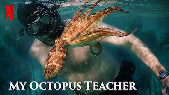 My Octopus Teacher (2020)